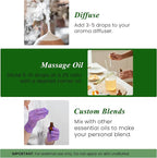 Handcraft Blends Tea Tree Essential Oil – 0.33 Fl Oz – 100% Pure and Natural – - Image 4