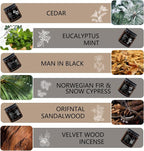 Scented Candles for Men | 6 Pack Candles for Home Scented, 150 Hour Burn Time - Image 2