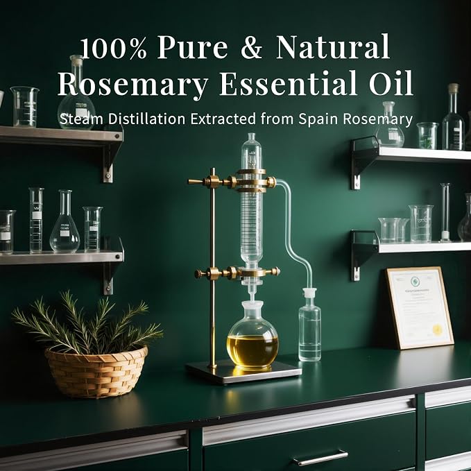 SU JUABA 4 Fl Oz Rosemary Essential Oil, 100% Pure Natural Aromatherapy Oil - Image 5