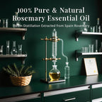 SU JUABA 4 Fl Oz Rosemary Essential Oil, 100% Pure Natural Aromatherapy Oil - Image 5