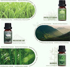 SALUBRITO Nature Fragrance Oils Set, Essential Oils Set - Image 4