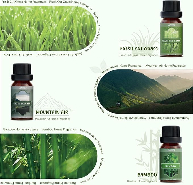SALUBRITO Nature Fragrance Oils Set, Essential Oils Set - Image 4