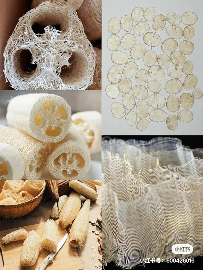 4" Natural Loofah Exfoliating Body and Face Sponge - Image 8