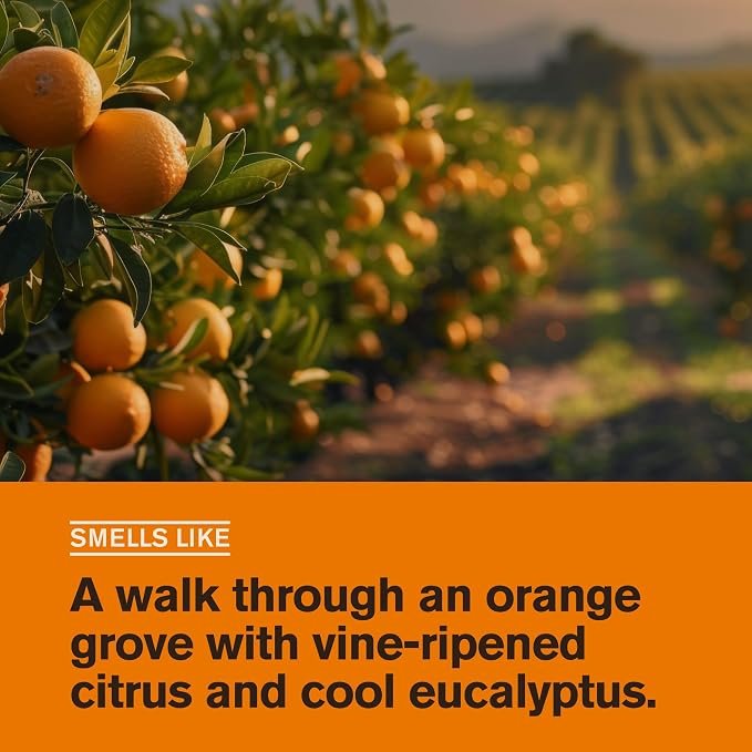 Every Man Jack Citrus + Eucalyptus Mens Body Wash - Image 3
