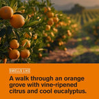 Every Man Jack Citrus + Eucalyptus Mens Body Wash - Image 3