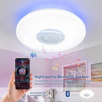 LED Ceiling Light Fixture, - Image 3