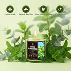 Mint Eucalyptus Odor Eliminating Highly Fragranced Candle, Eliminates 95% of - Image 7