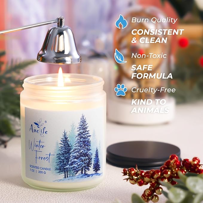 Hello Winter Candle | Fresh Citrus & Jasmine Scented Soy Candles - Image 3