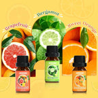 ARVIDSSON Citrus Essential Oils Set, Natural Fruit Essential Oil - Image 3