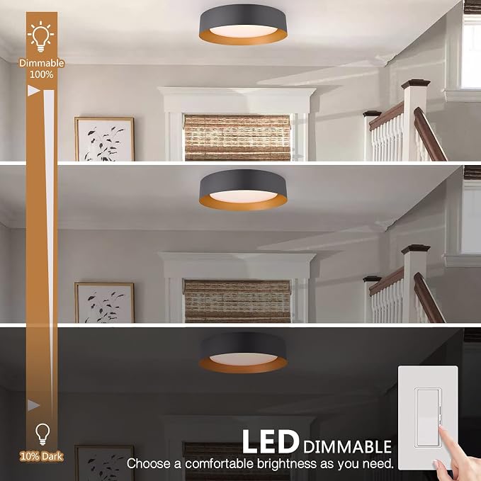 Bargeni 16.5 Inch LED Ceiling Light Fixture, Dimmable Flush Mount Matte Black - Image 5