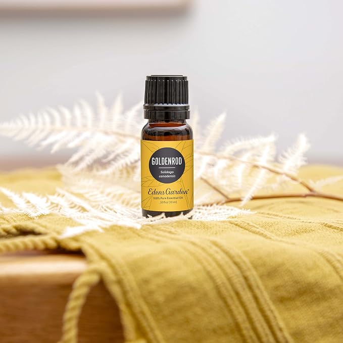 Edens Garden Goldenrod Essential Oil- 100% Pure Premium Grade, Therapeutic - Image 2