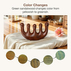 Natural Wooden Hair Growth Scalp Massager Comb - Image 5