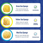 Baby Buddy Absorbent Natural Bath Sponge, Ultra Soft Premium Sea Wool Sponge - Image 5