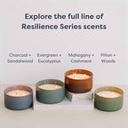 Calyan Wax Co. Evergreen & Eucalyptu 3 Wick Scented Candle - Image 9