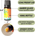 Folkulture Essential Oils Set for Diffuser | Set of 6 Everyday Aromatherapy - Image 5