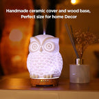 Owl Ceramic Aromatherapy Diffuser INRORANS 160ml Stone ultrasonic Cool Mist - Image 6