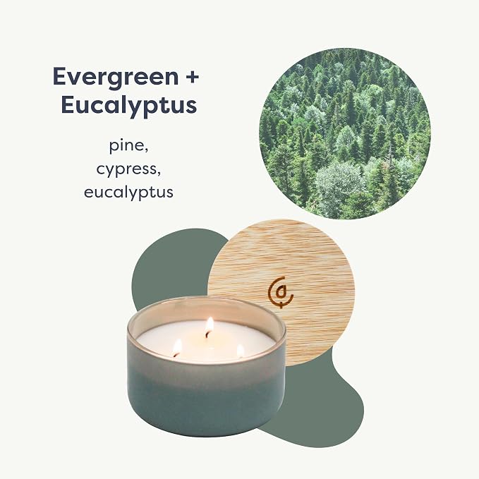 Calyan Wax Co. Evergreen & Eucalyptu 3 Wick Scented Candle - Image 2