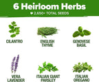HOME GROWN 6 Herb Seeds for Planting 2, 650+ Non-GMO Heirloom Seeds | Extra - Image 3