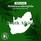 Handcraft Blends Tea Tree Essential Oil – 0.33 Fl Oz – 100% Pure and Natural – - Image 6
