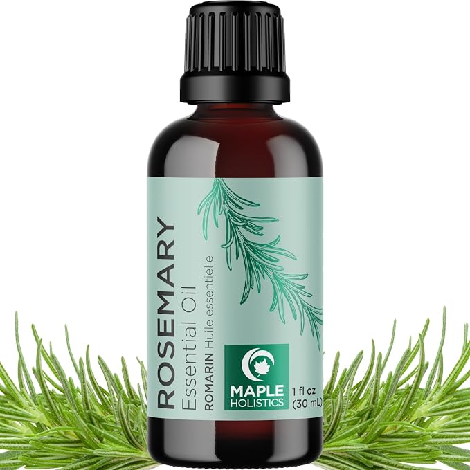 Pure Rosemary Oil for Hair Skin and Nails by MapleHolistics