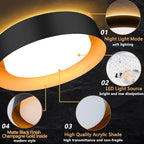 Bargeni Flush Mount Ceiling Light - Image 3