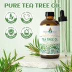 EVOKE OCCU 100% Pure Tea Tree Oil, - Image 7
