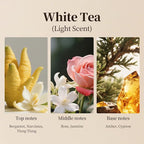 White Tea Waterless Diffuser Oil, Hotel Inspired Luxury Scent, Long Lasting - Image 5