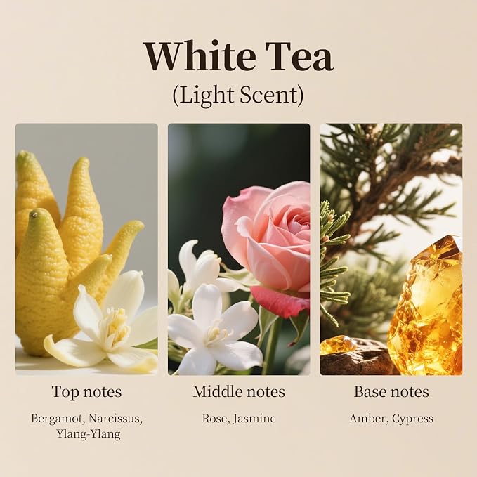 White Tea Waterless Diffuser Oil, Hotel Inspired Luxury Scent, Long Lasting - Image 5