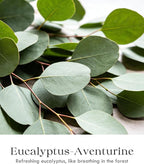 AOOVOO 2 Pack Eucalyptus Mint Candles – Aromatherapy Candle - Image 4