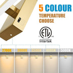 Gold Bathroom Vanity Light 23.6 inch, 20W Dimmable 5CCT LED Modern Bathroom - Image 3