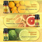 Citrus Essential Oils Set for Diffuser - Image 2
