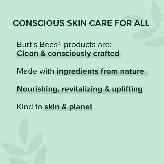 Burt's Bees Shea and Aloe Moisturizing Lip Balm, Lip Moisturizer - Image 11