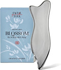 Rena Chris Stainless Steel Gua Sha Facial Tools by RenaChris