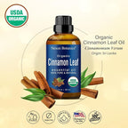Organic Cinnamon Essential Oil 30 ml - Image 2