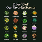 Essential Oils Set - Image 3