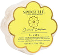 Spongellé Coconut Verbena Daisy Spongette Bath Sponge | Built-in Body Wash & by Spongell%C3%A9