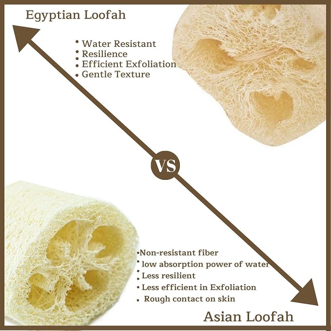 One Whole Egyptian Loofah 100% Natural SPA Beauty Bath Sponge Body Scrubber - Image 8