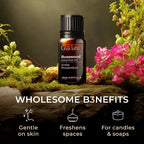 100% Pure Rosewood Essential Oil - Image 5