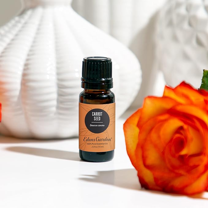 Edens Garden Carrot Seed Essential Oil- 100% Pure Premium Grade, Therapeutic - Image 2