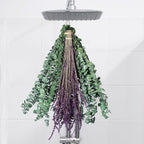 Real Eucalyptus for Shower Hanging Dried Eucalyptus Stems for Shower by FAVOWREATH