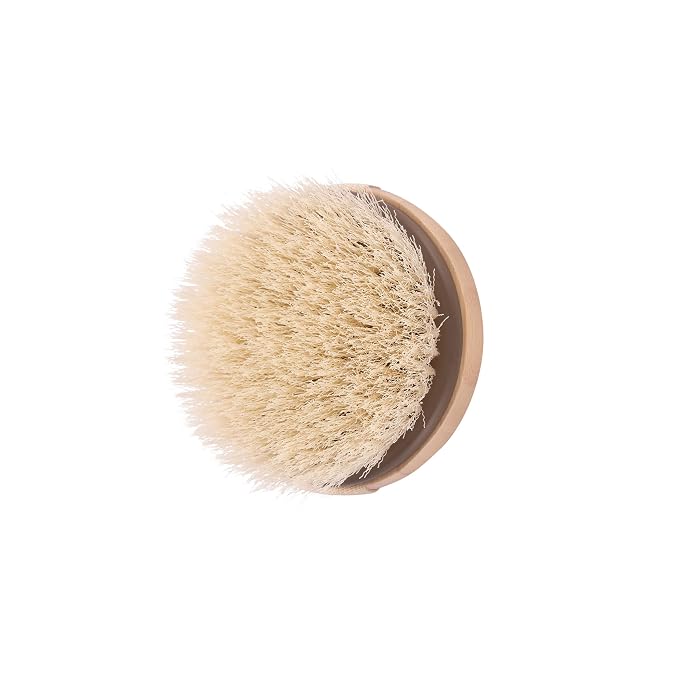 EcoTools Dry Body Brush, For Post Shower & Bath Skincare Routine, Removes Dirt - Image 4