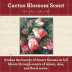 Our Own Candle Company, Cactus Blossom Scented Mason Jar Candle, 100 Hour Burn - Image 2