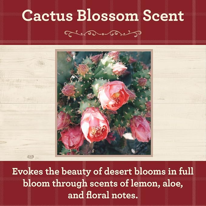 Our Own Candle Company, Cactus Blossom Scented Mason Jar Candle, 100 Hour Burn - Image 2