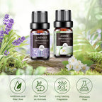 Essential Oils Set - Image 2