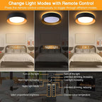 Bargeni Flush Mount Ceiling Light - Image 2