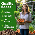HOME GROWN Tendersweet Carrots Seeds 3000+ Heirloom Non-GMO Seeds - Image 3