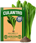 HOME GROWN Non GMO Culantro Seeds 360 Herb Seeds by HOMEGROWN