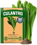 HOME GROWN Non GMO Culantro Seeds 360 Herb Seeds by HOMEGROWN