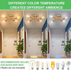 SunRider Industrial 4-Light Semi Flush Mount Ceiling Light Fixture, Modern - Image 2