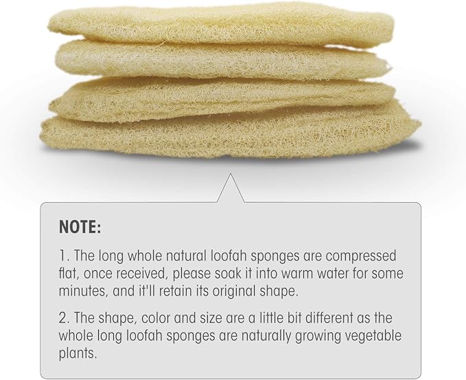 Natural Organic Loofah Sponges Large Exfoliating Shower Bath Loofah Luffa Loofa - Image 5